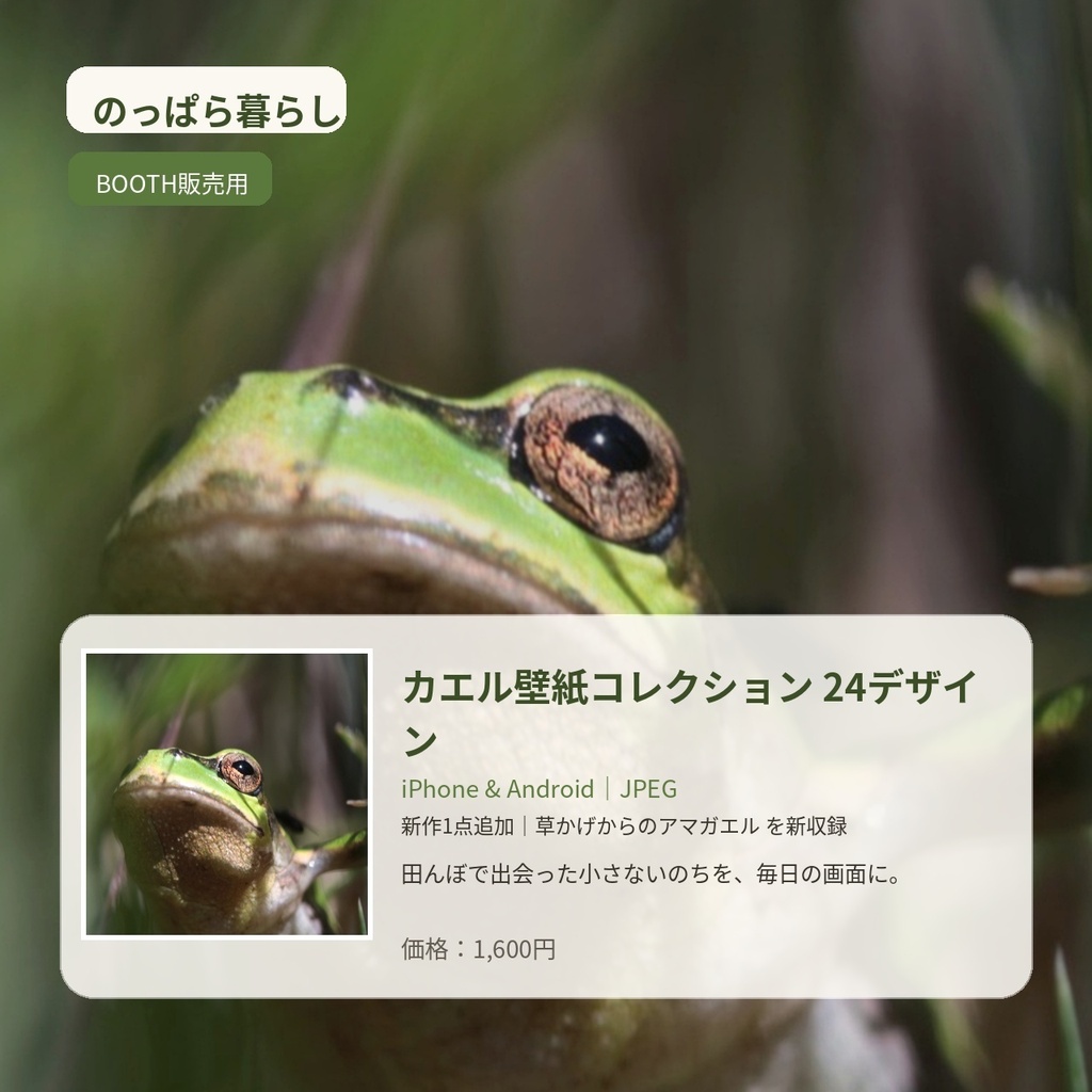 のっぱら暮らし|カエル壁紙コレクション 24デザイン