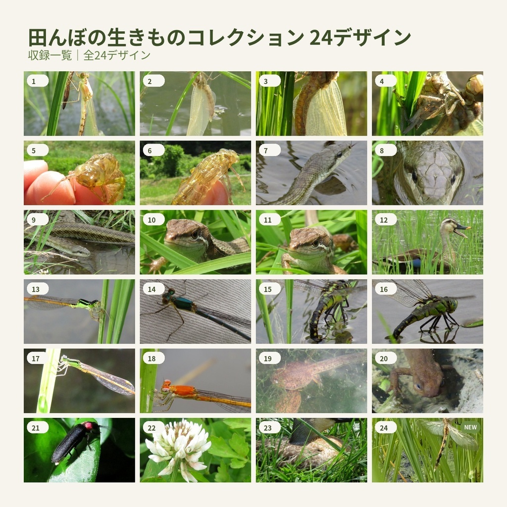 のっぱら暮らし|田んぼの生きものコレクション 24デザイン