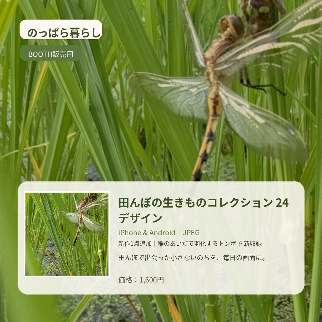 のっぱら暮らし|田んぼの生きものコレクション 24デザイン