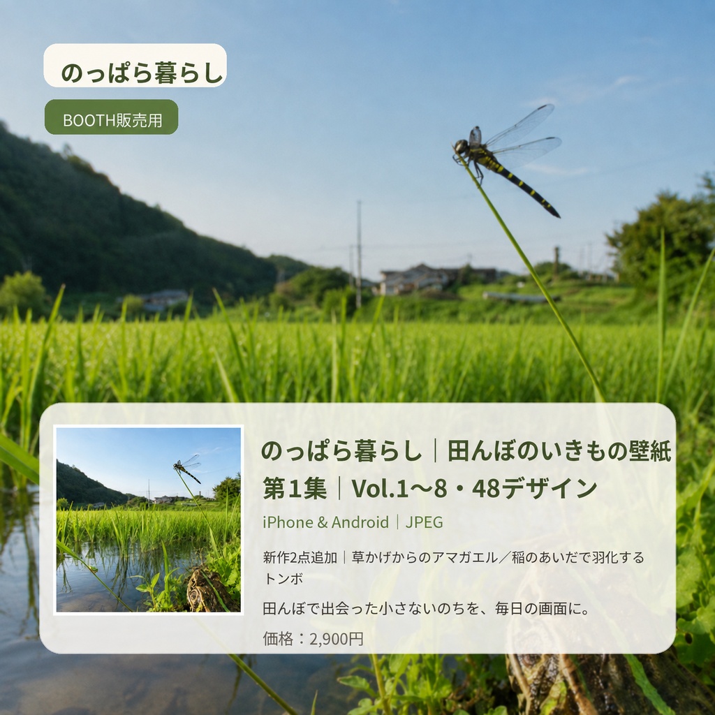 のっぱら暮らし|田んぼのいきもの壁紙 第1集|Vol.1〜8・48デザイン