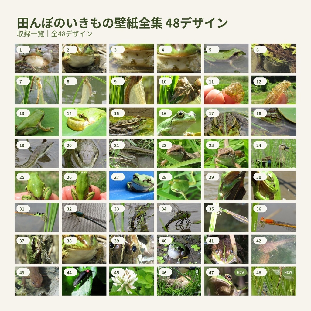 のっぱら暮らし|田んぼのいきもの壁紙 第1集|Vol.1〜8・48デザイン