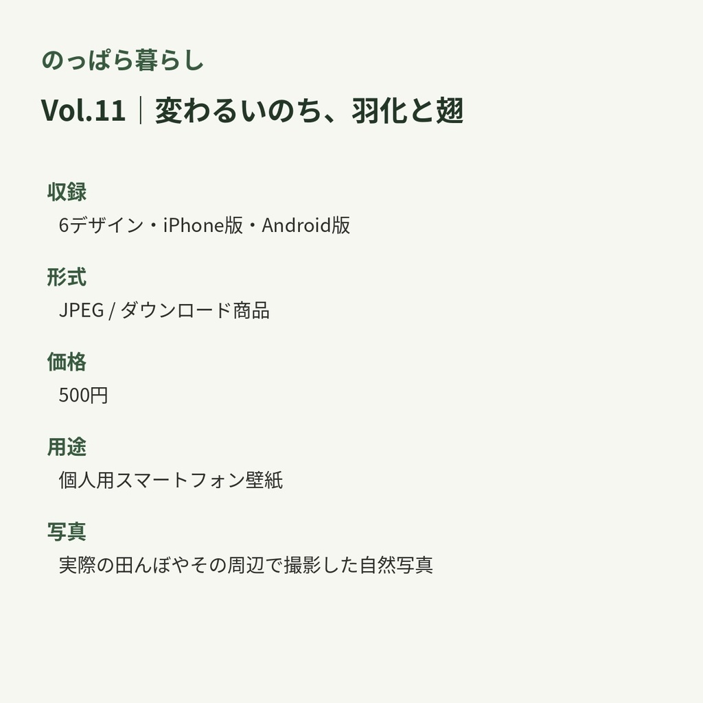 のっぱら暮らし|田んぼの小さな住人たち Vol.11 ― 変わるいのち、羽化と翅 ―