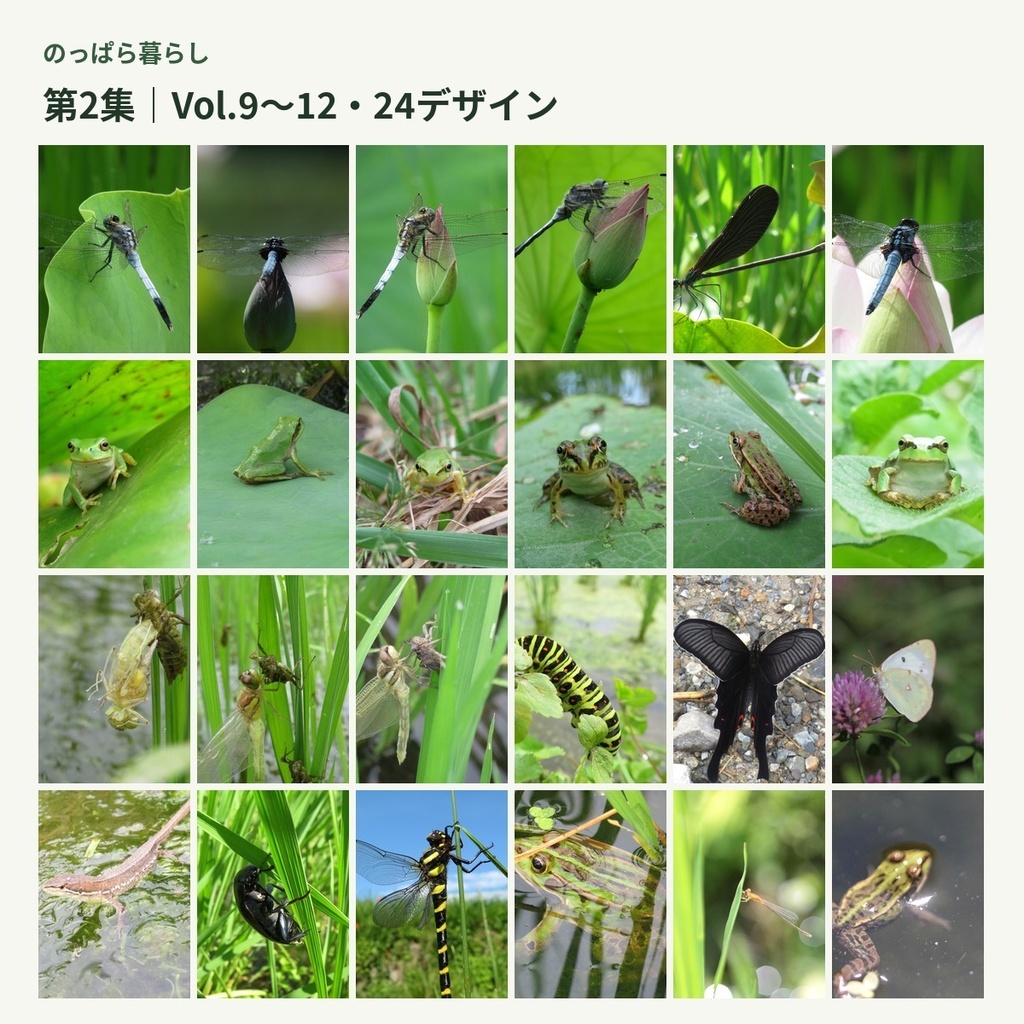 のっぱら暮らし|田んぼのいきもの壁紙 第2集|Vol.9〜12・24デザイン