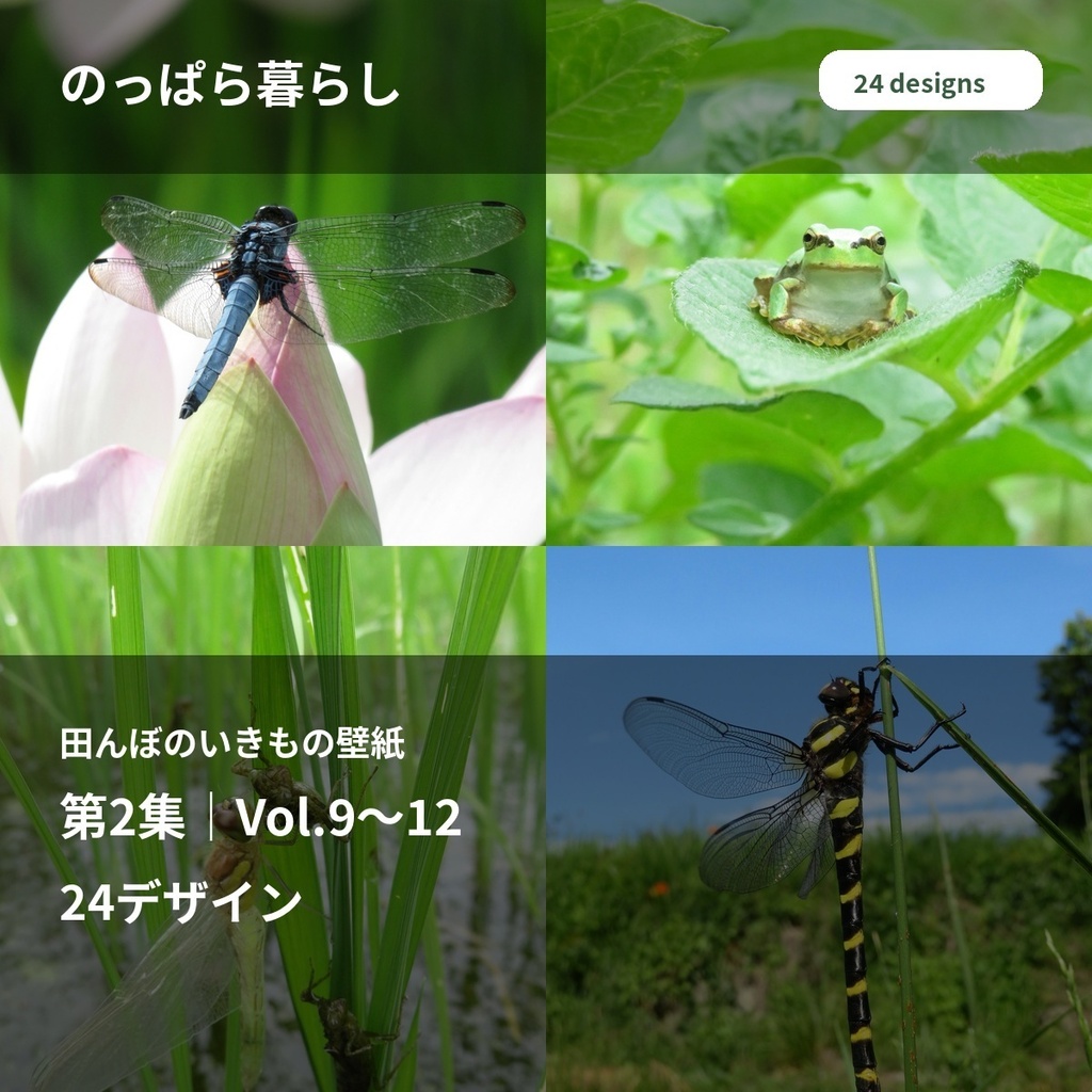 のっぱら暮らし｜田んぼのいきもの壁紙 第2集｜Vol.9〜12・24デザイン