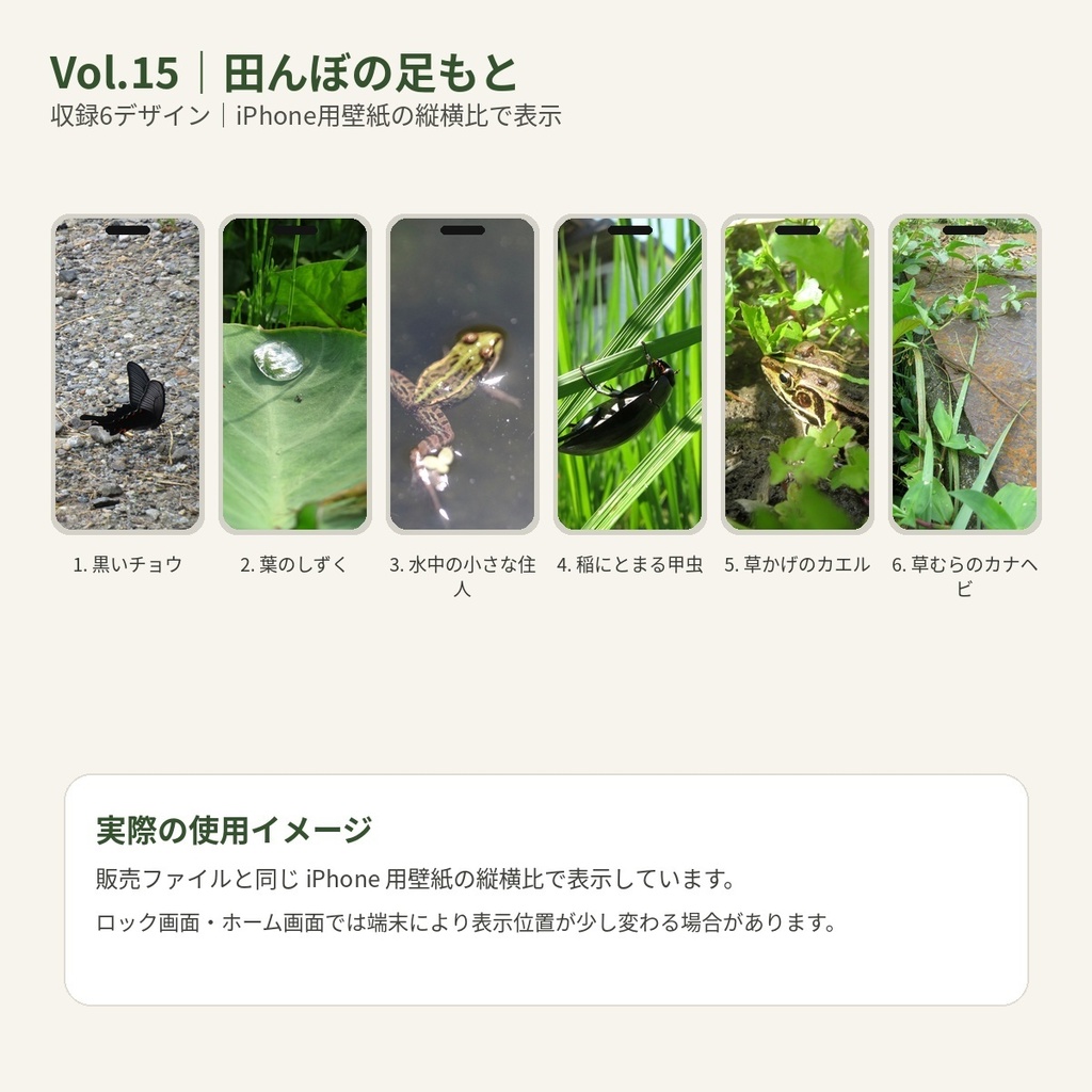 のっぱら暮らし|田んぼの小さな住人たち Vol.15 ― 田んぼの足もと ―
