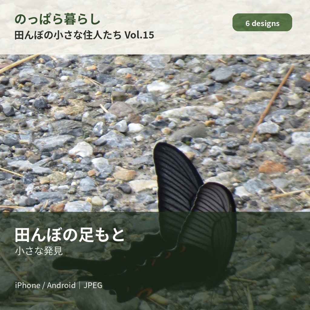 のっぱら暮らし|田んぼの小さな住人たち Vol.15 ― 田んぼの足もと ―