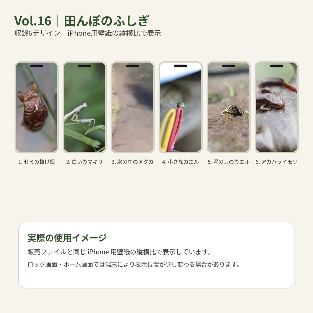 のっぱら暮らし|田んぼの小さな住人たち Vol.16 ― 田んぼのふしぎ ―