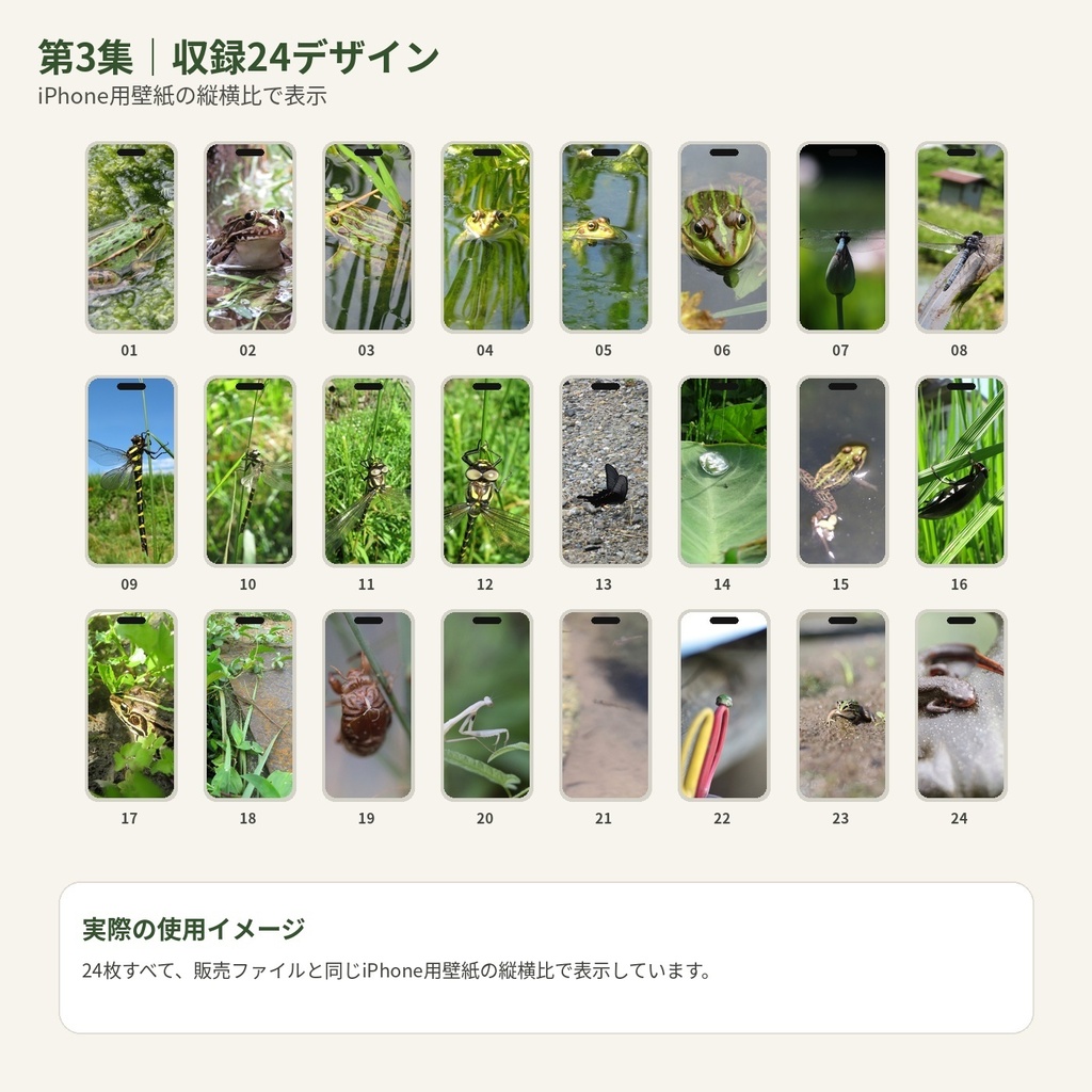 のっぱら暮らし|田んぼのいきもの壁紙 第3集|Vol.13〜16・24デザイン