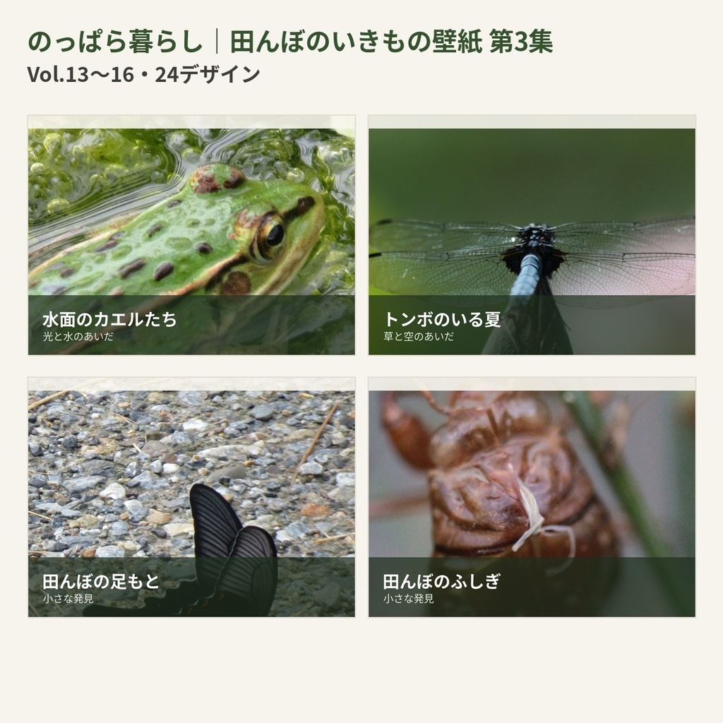のっぱら暮らし｜田んぼのいきもの壁紙 第3集｜Vol.13〜16・24デザイン