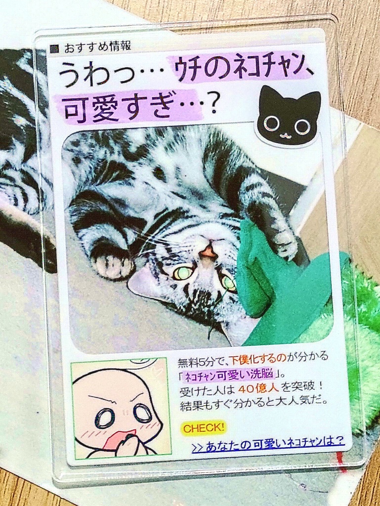ネコチャン アクリルカード
