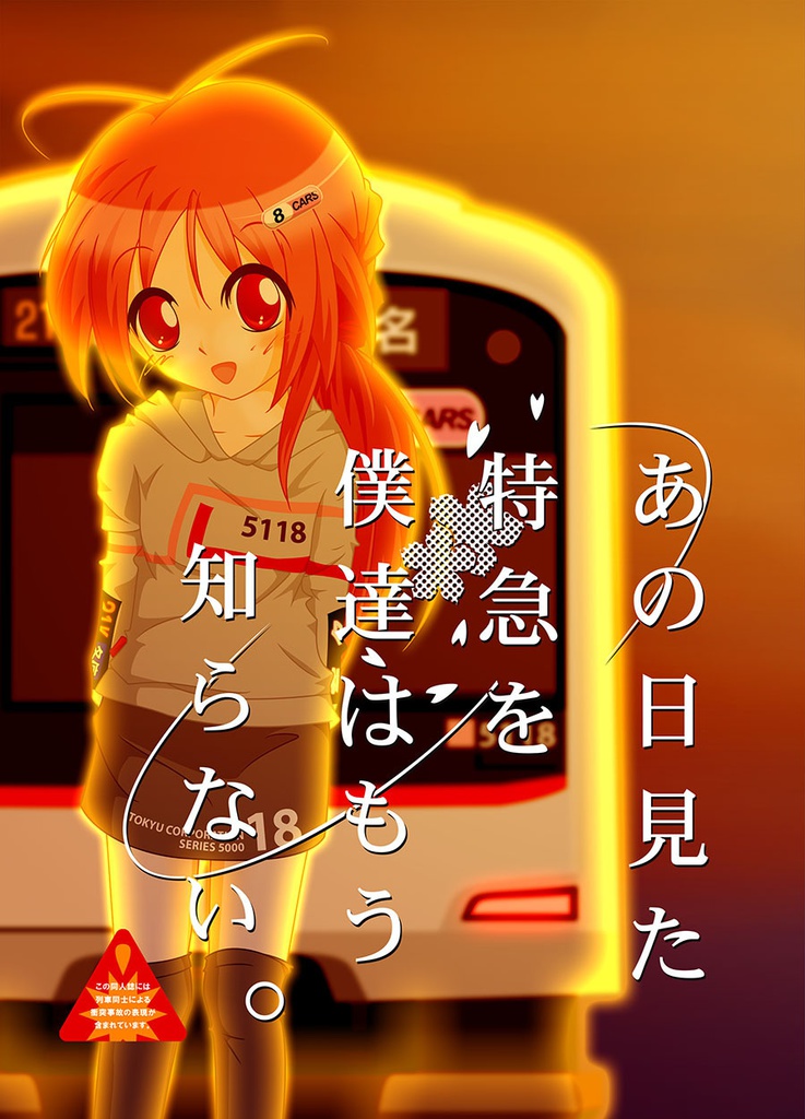 あの日見た特急を僕たちはもう知らない。