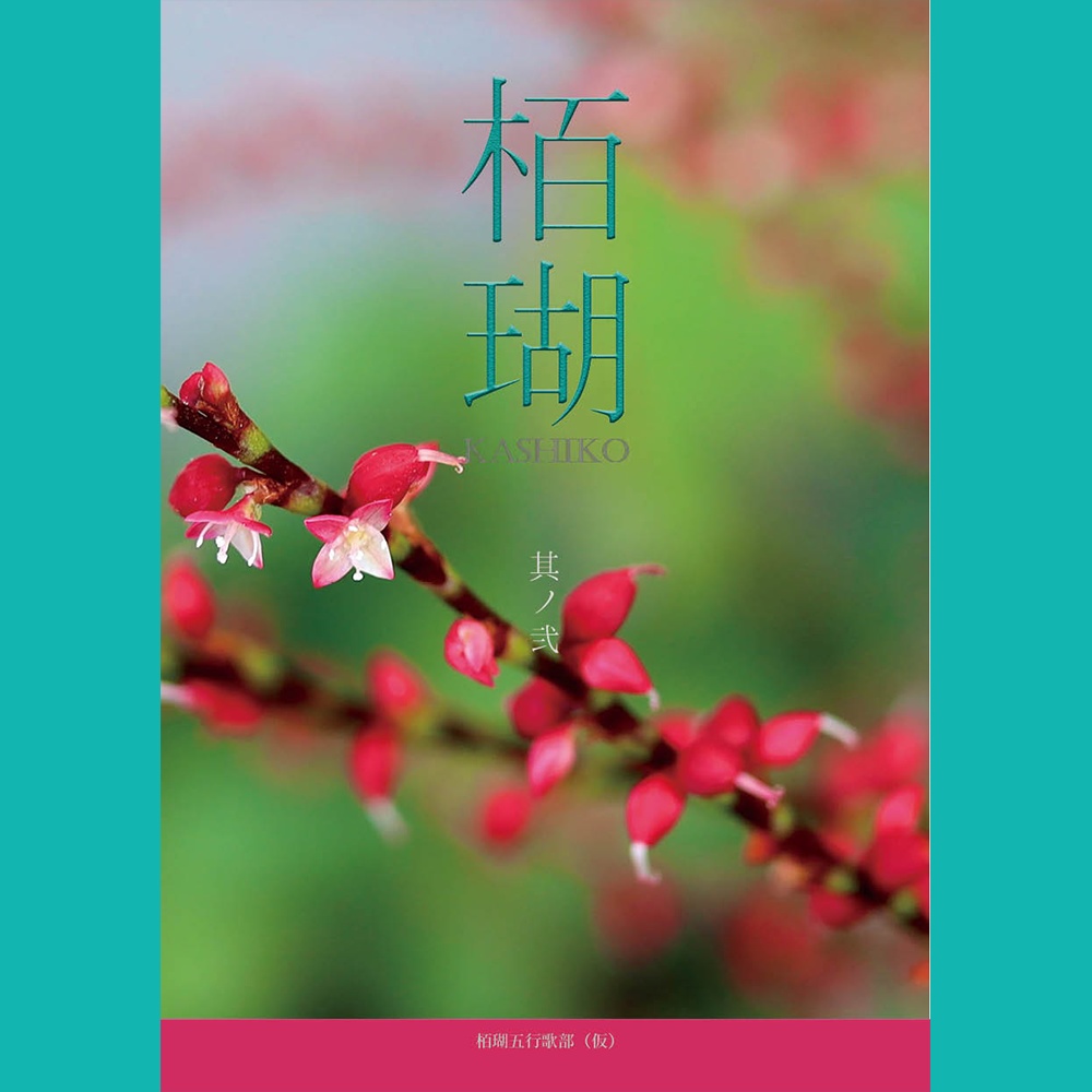 栢瑚　其ノ弐