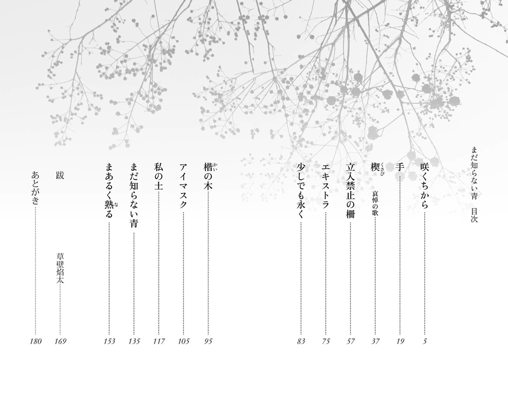 まだ知らない青(水源純五行歌集)市井社そらまめ文庫