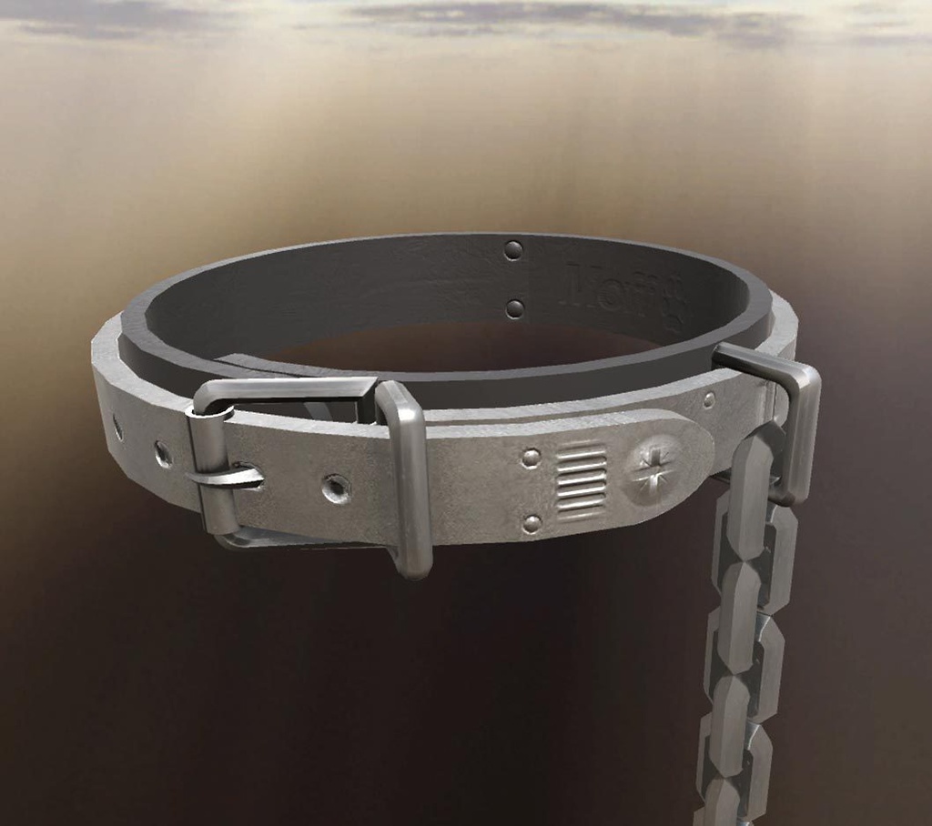 贈答用カスタム首輪キット