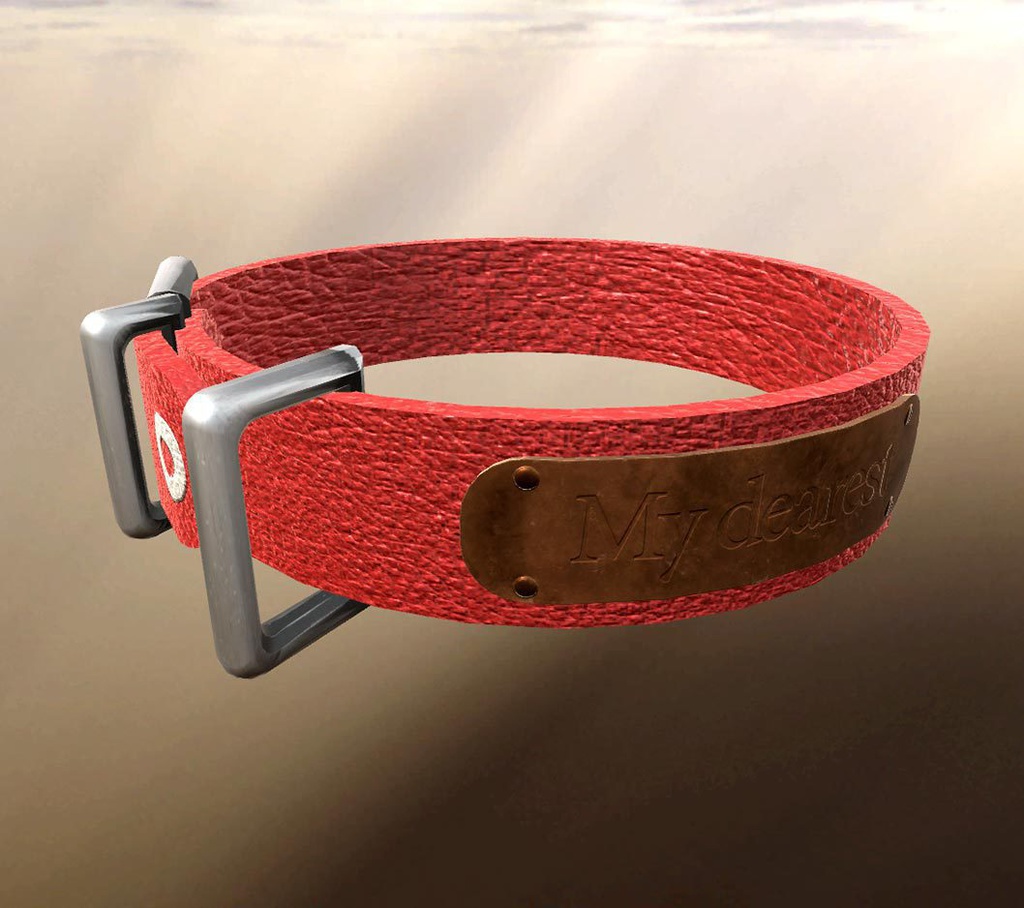 贈答用カスタム首輪キット