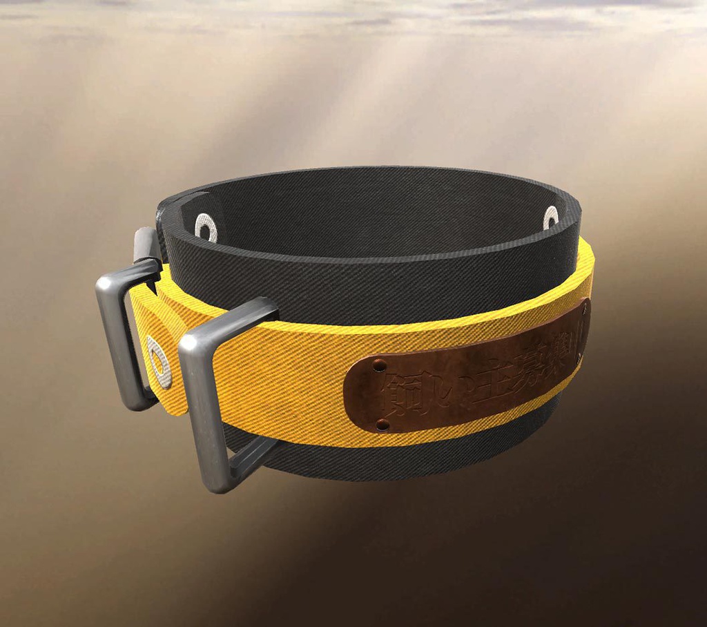 贈答用カスタム首輪キット