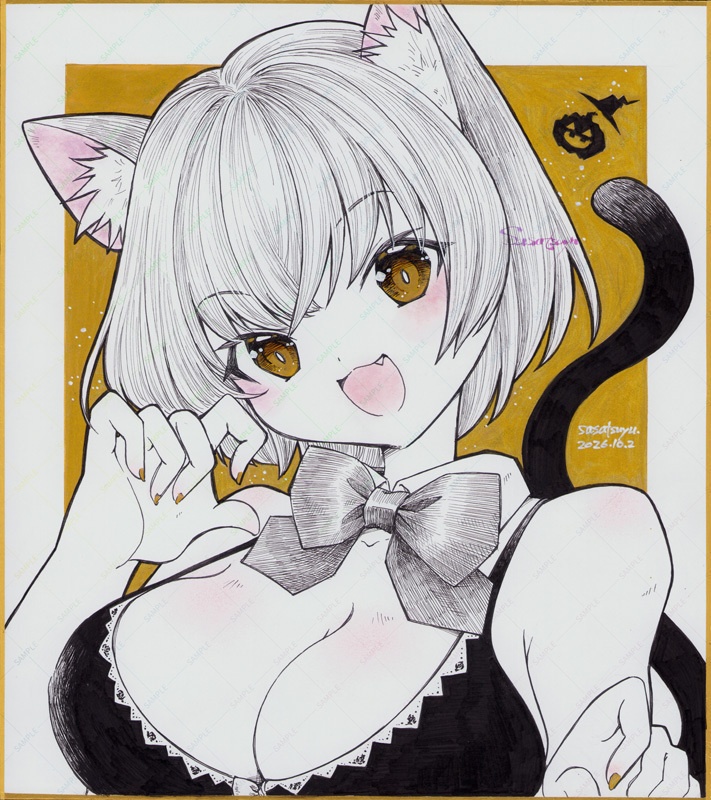 黒猫ちゃん大色紙