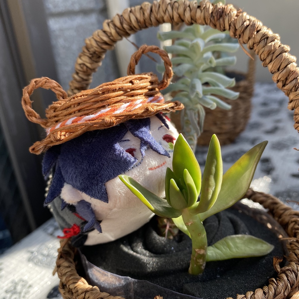 どうぶつ帽子★ねこ耳:中サイズ