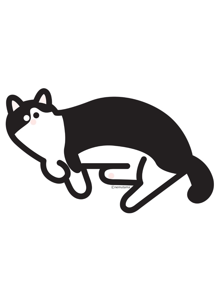 ユミふかふかクッション