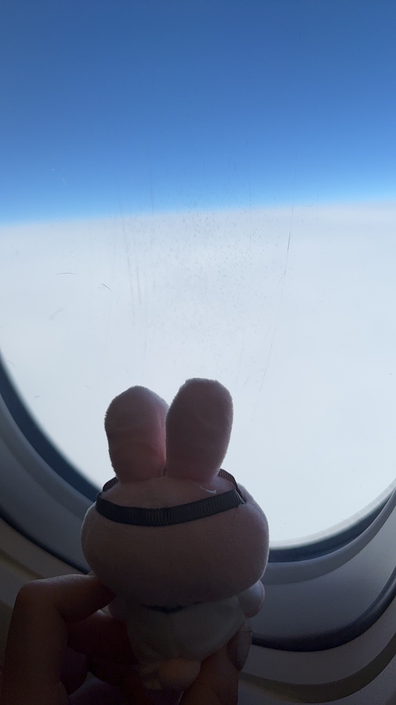 ちゃうくん