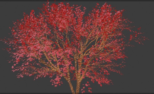 シンプルな紅葉