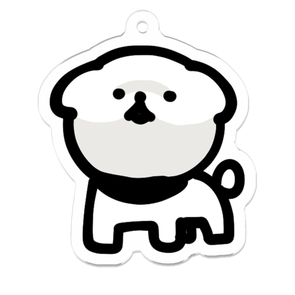 アクキー（ビションフリーゼ）