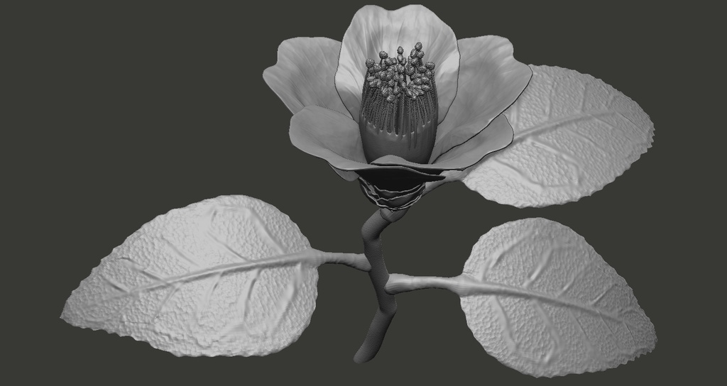 ツバキ(花)のZBrushプロジェクトとOBJファイル