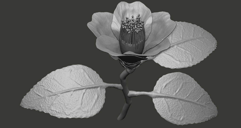 ツバキ(花)のZBrushプロジェクトとOBJファイル