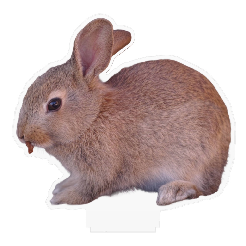 うさぎ001 アクリルフィギュア