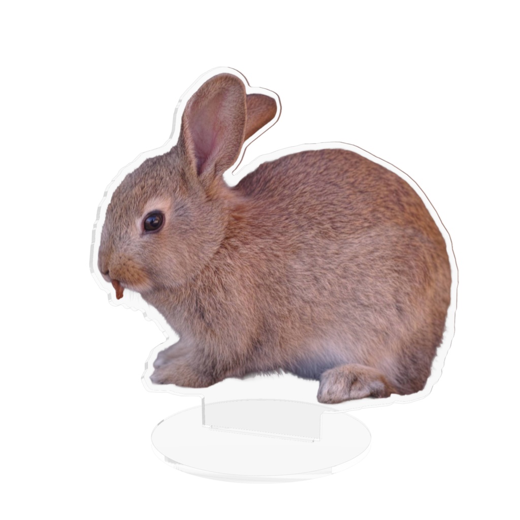 うさぎ001 アクリルフィギュア