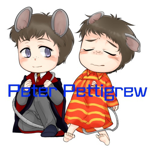 もちもちクッション＊ピーター