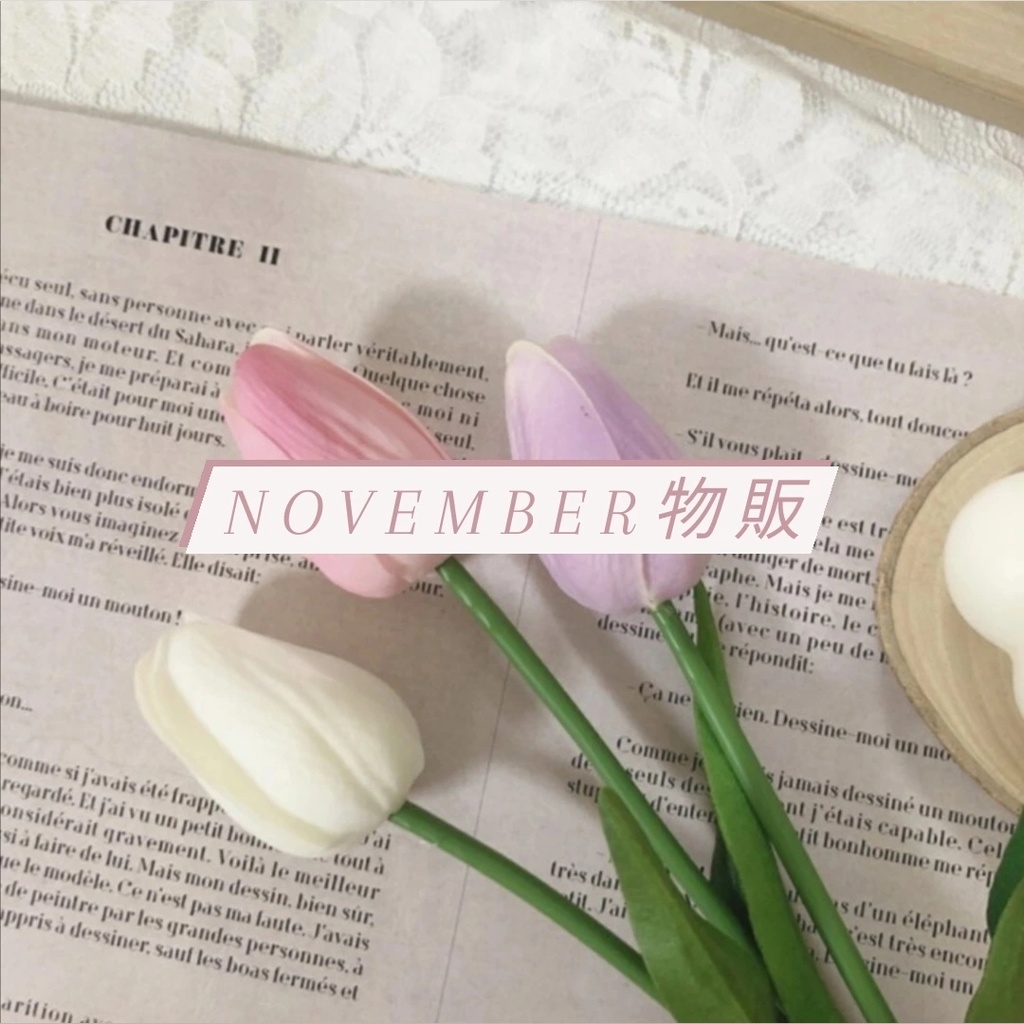 November 物販