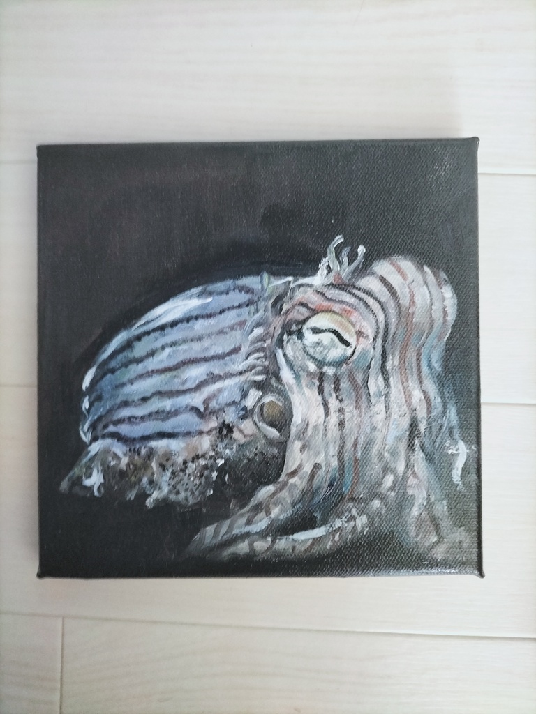 イカの絵画