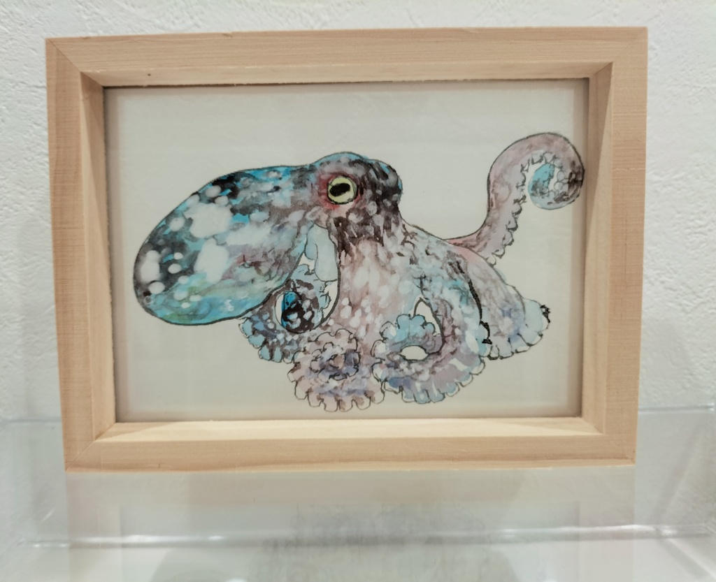 蛸 日本画 原画