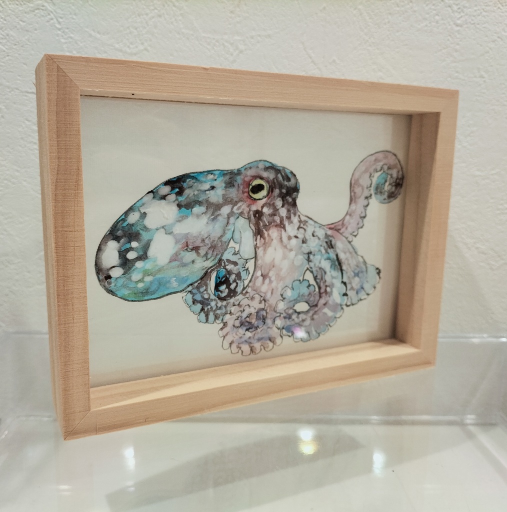 蛸 日本画 原画