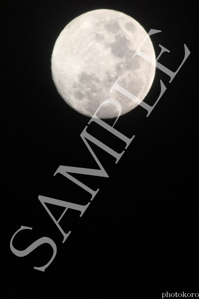 夜の月