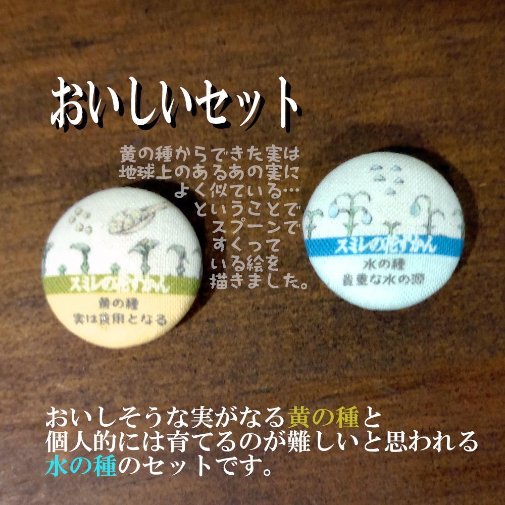 スミレの花ずかん22mmマグネット