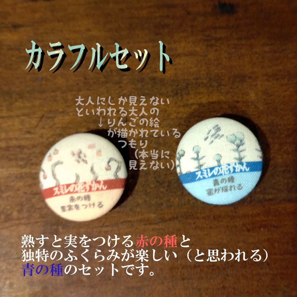 スミレの花ずかん22mmマグネット