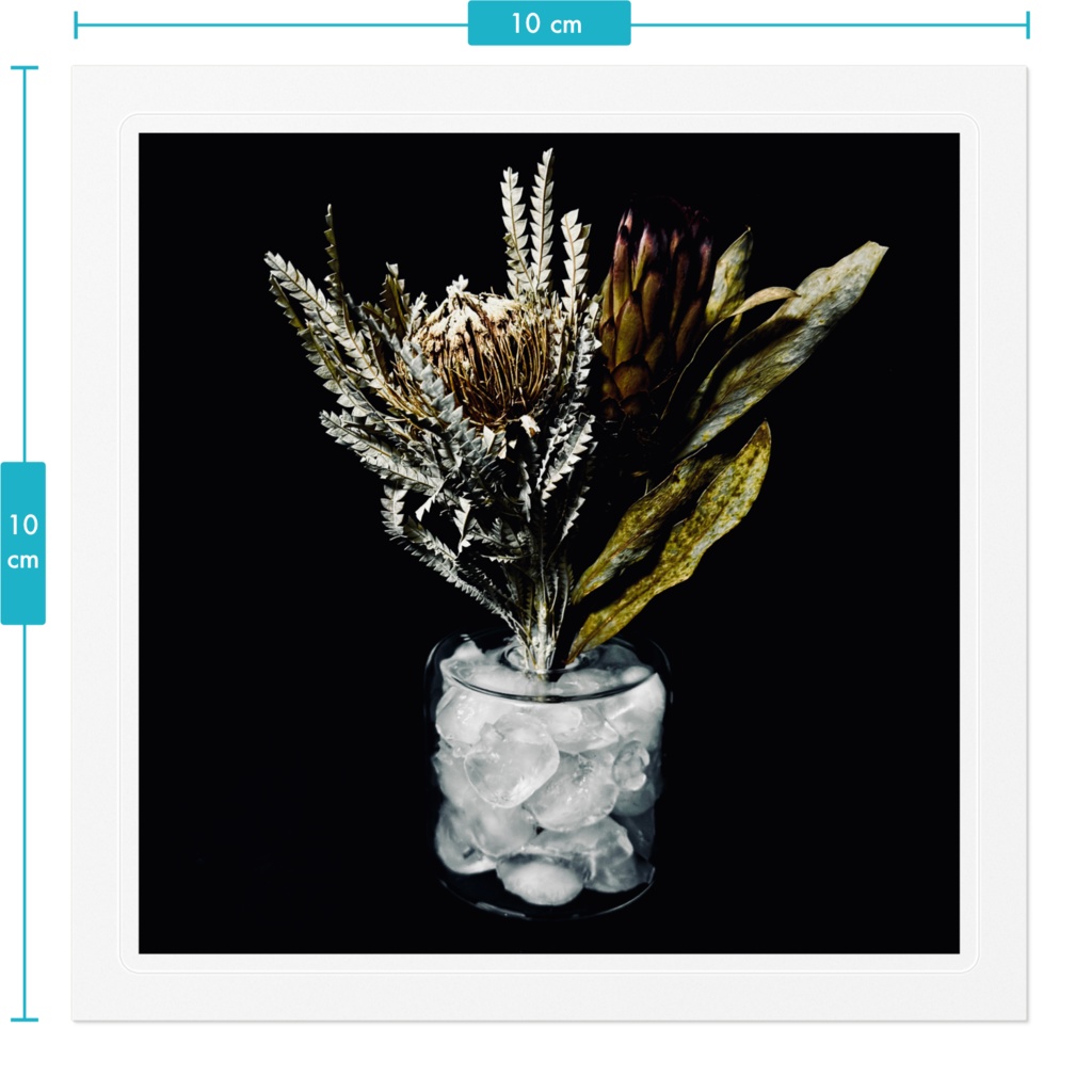 【僕はここに居られないよ】クリアステッカー