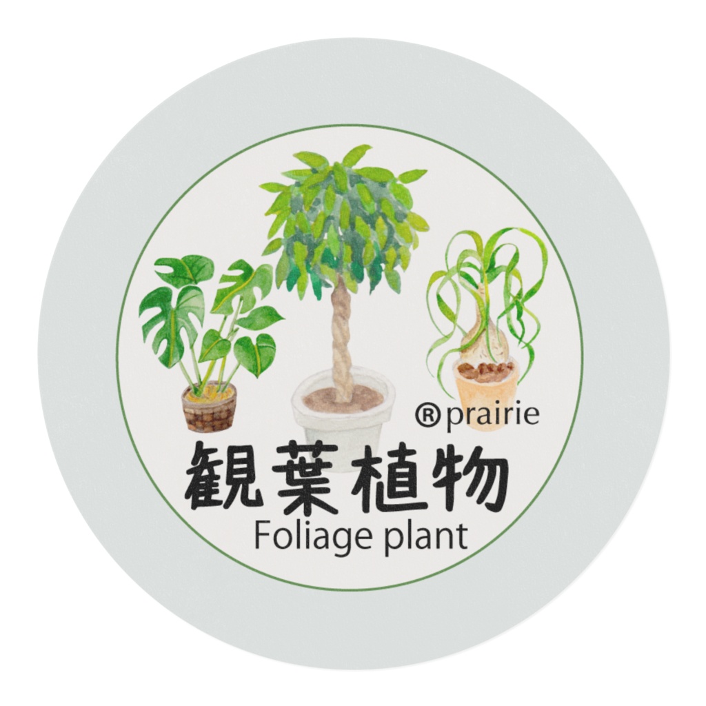 観葉植物のマスキングテープ