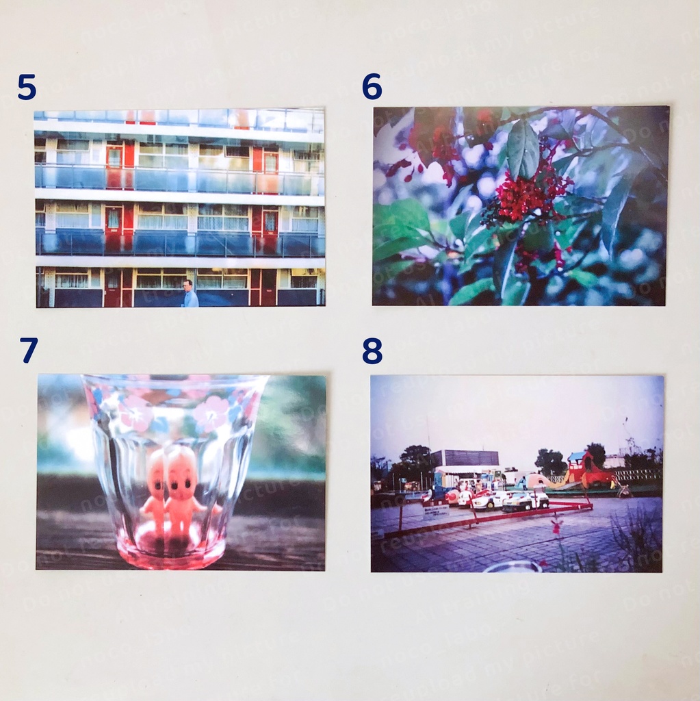 ポストカード(写真)11種類 単品