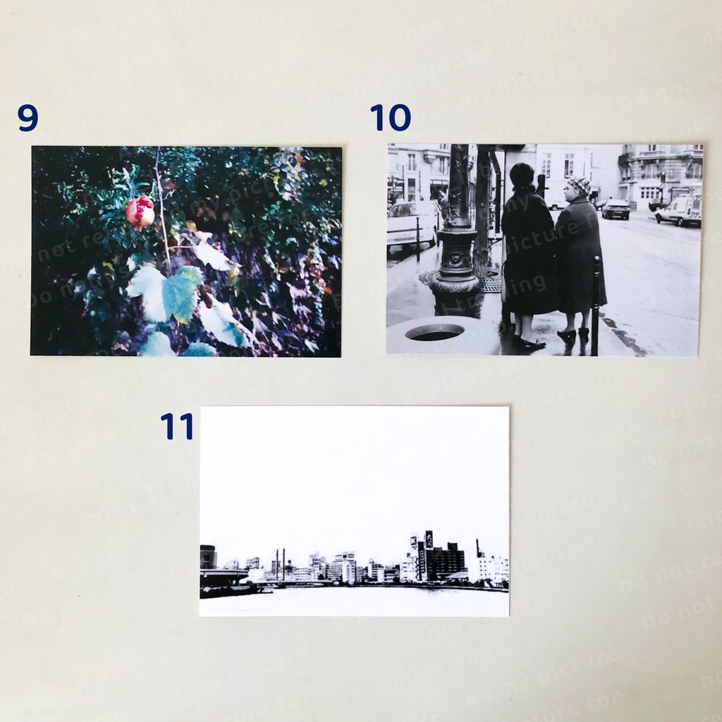 ポストカード(写真)11種類 単品