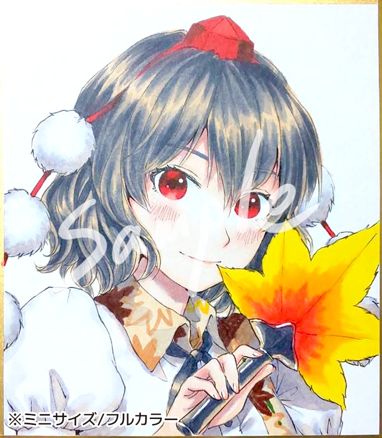 【リクエスト式】オーダー色紙(大/ミニ)