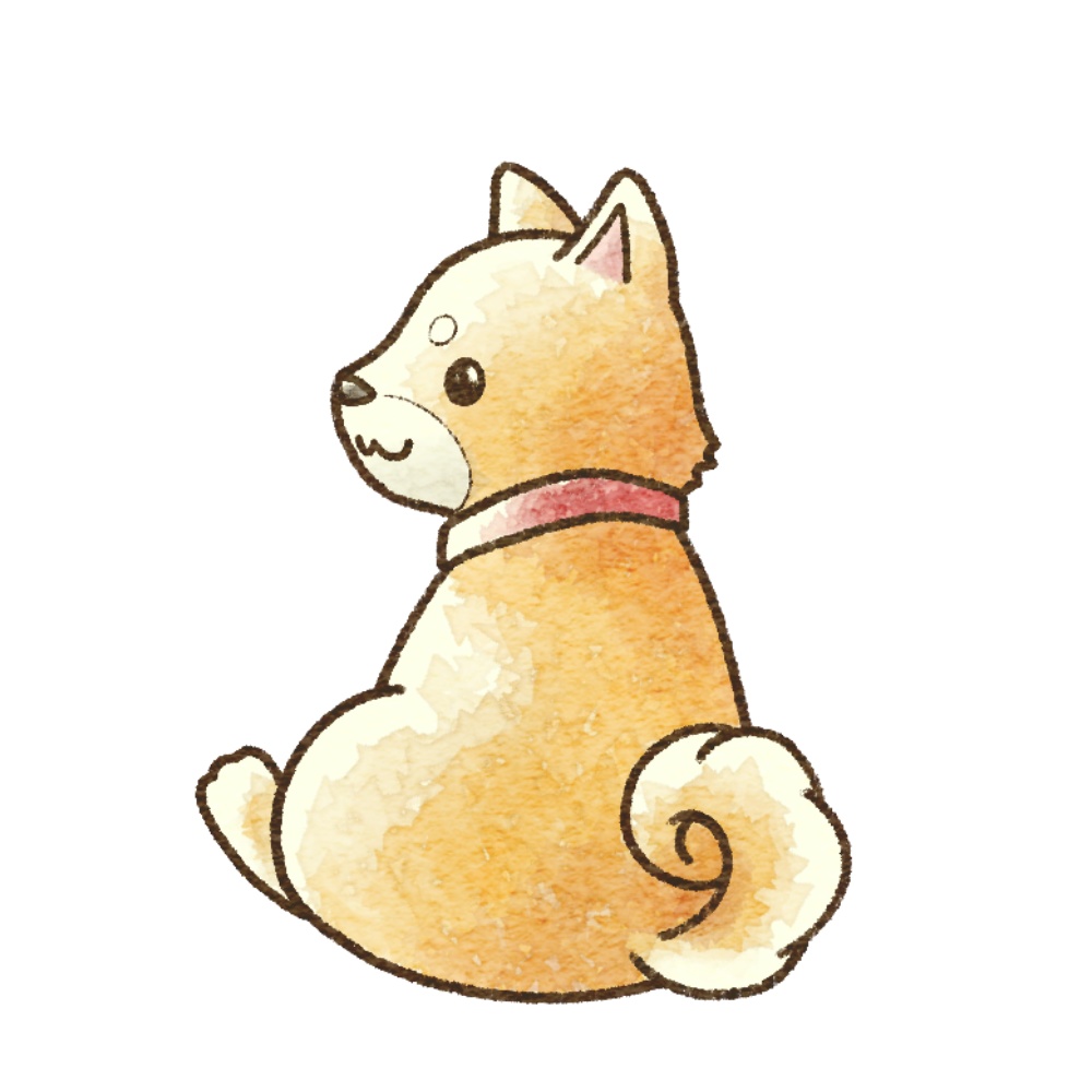 柴犬のアクキー