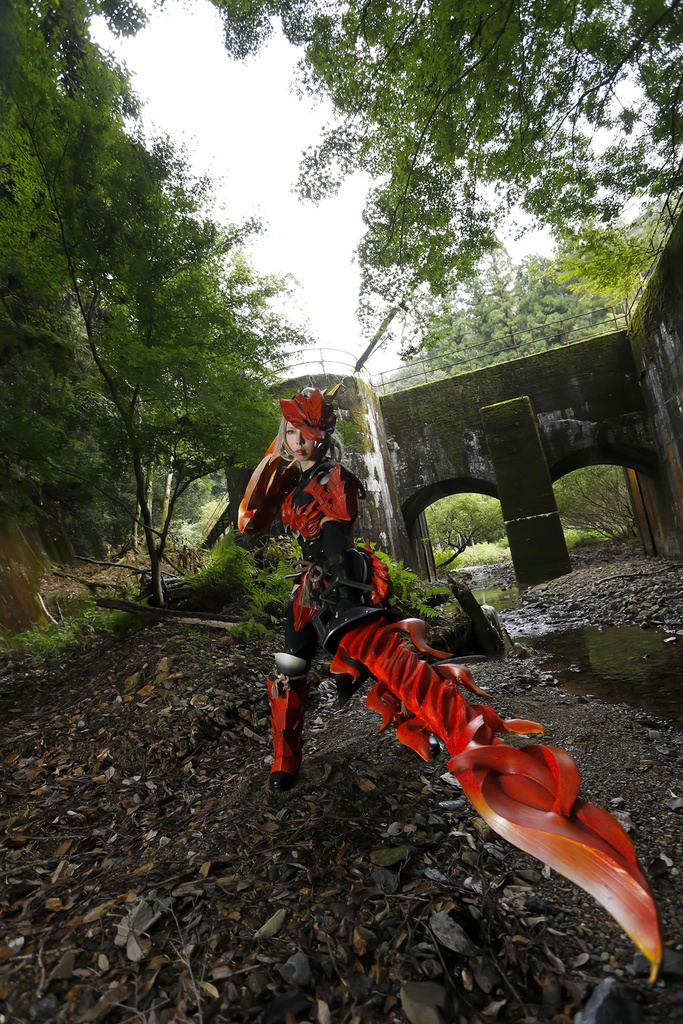 ガロン衣装造形解説付き写真集