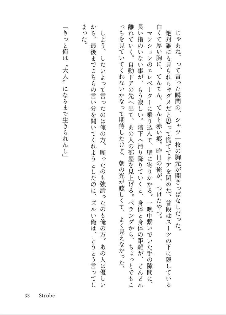 至楽園―Manipulate light and shadow―