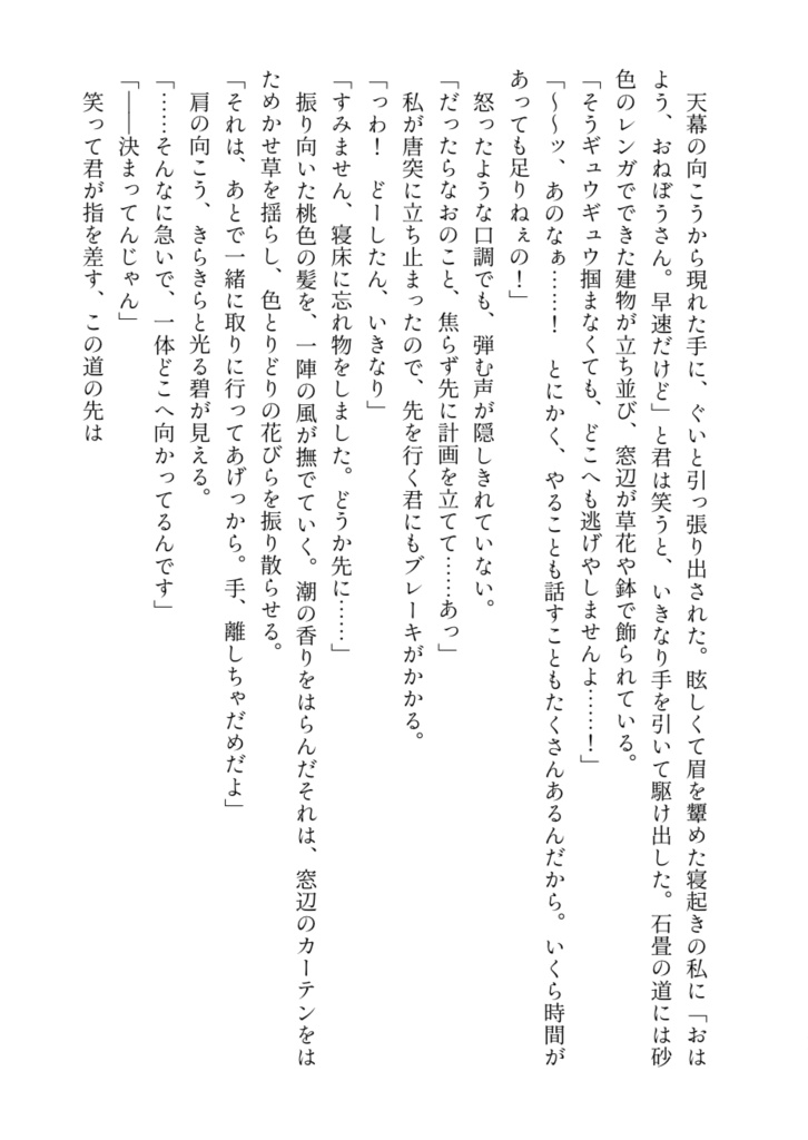 至楽園―Manipulate light and shadow―