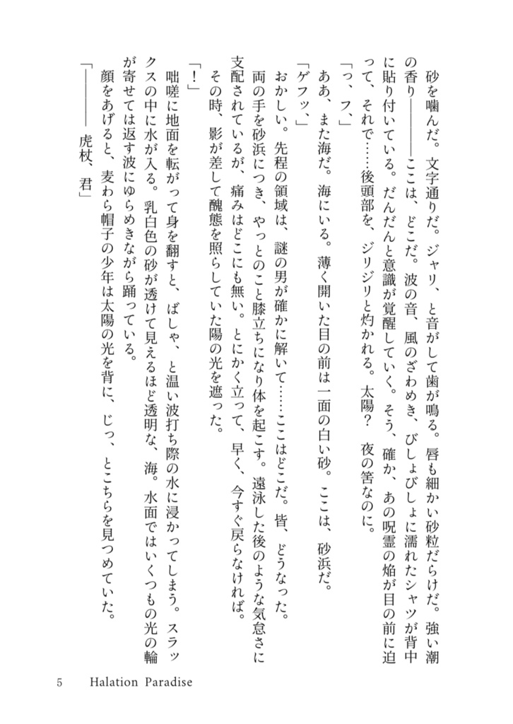 至楽園―Manipulate light and shadow―