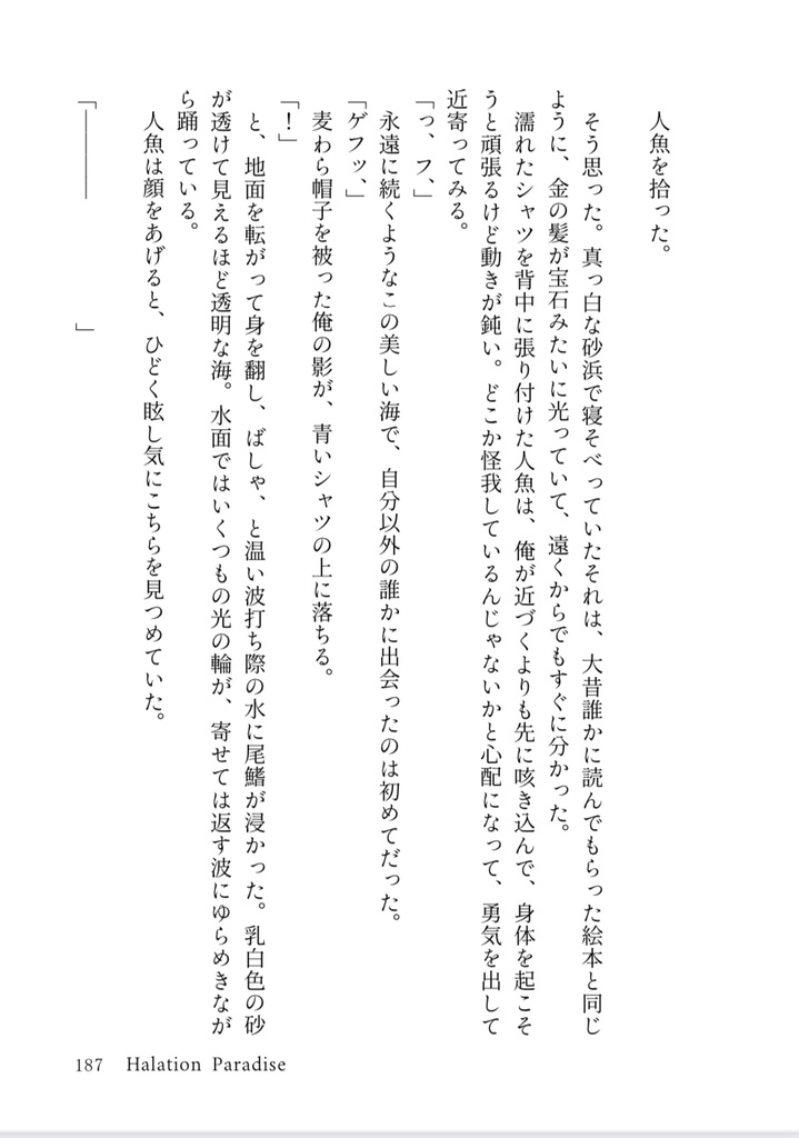 至楽園―Manipulate light and shadow―