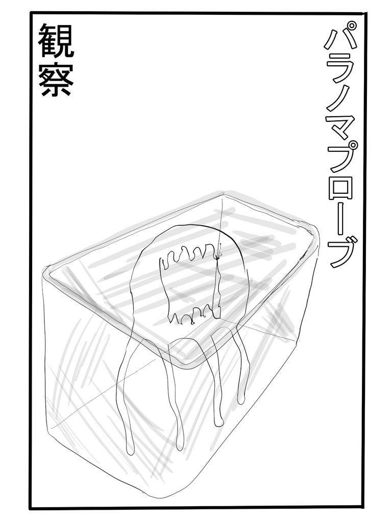 パラノマプローブ　観察